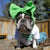 Frenchiestore Pet Head Bow | Green, Frenchie Dog, French Bulldog pet products