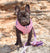 Frenchiestore Dog Luxury Leash | Pink Varsity, Frenchie Dog, French Bulldog pet products