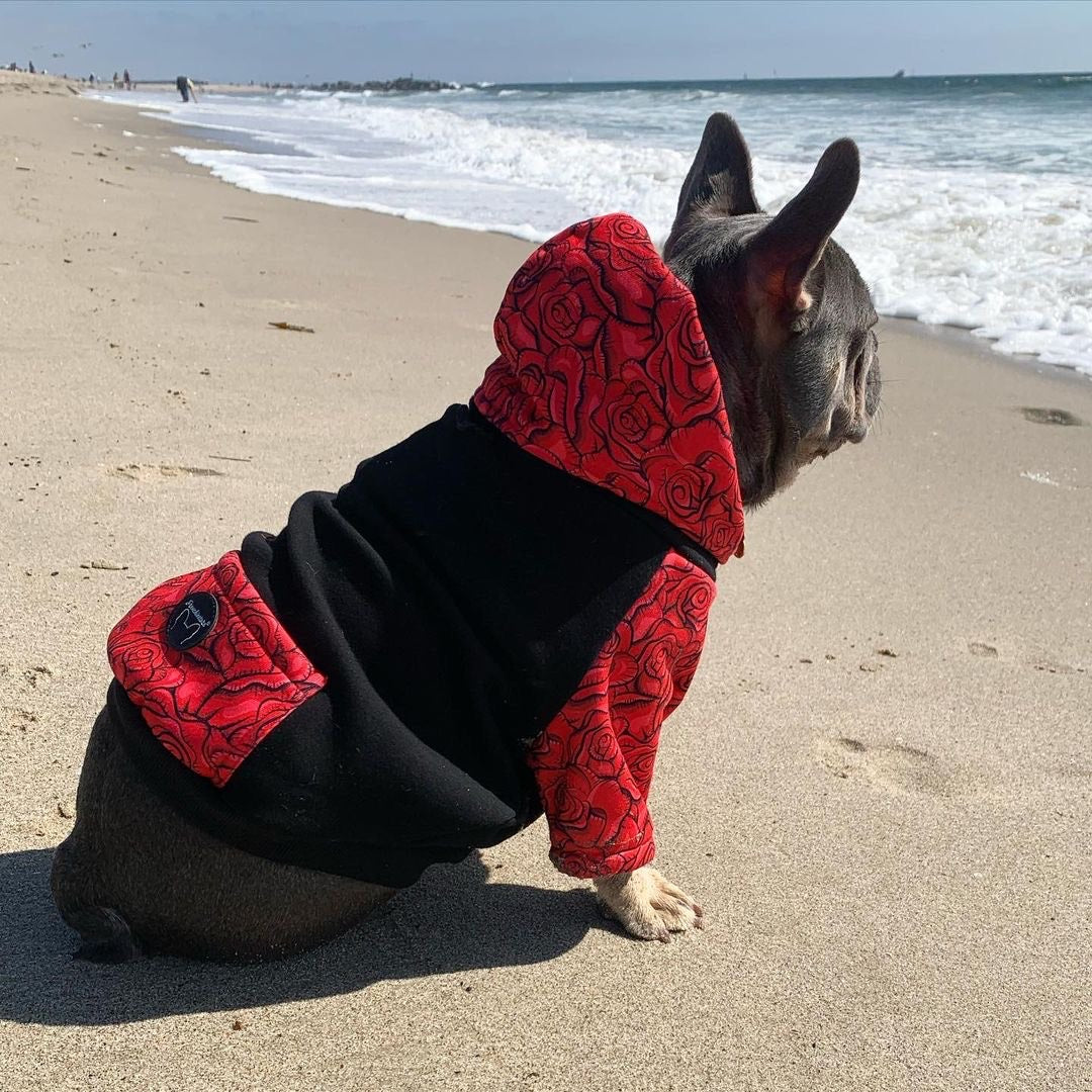 Frenchiestore Organic Dog hoodie