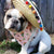 Frenchiestore 可調節寵物健康背帶| Livin' La Vida Frenchie、Frenchie Dog、法國鬥牛犬寵物產品