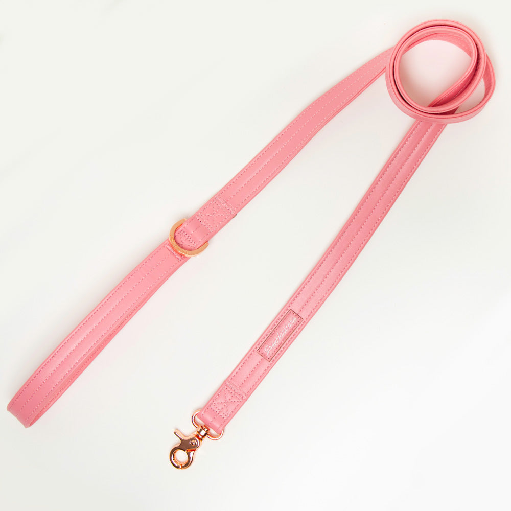 Frenchiestore Luxury Leash | Livin' La Vida Frenchie