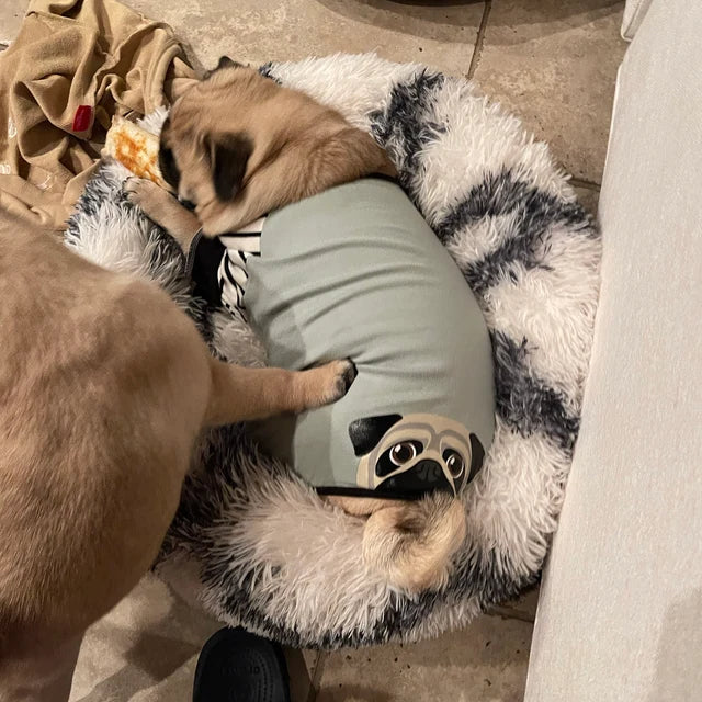 Pug Pajamas Pug Dog Clothing Fawn Pug dog