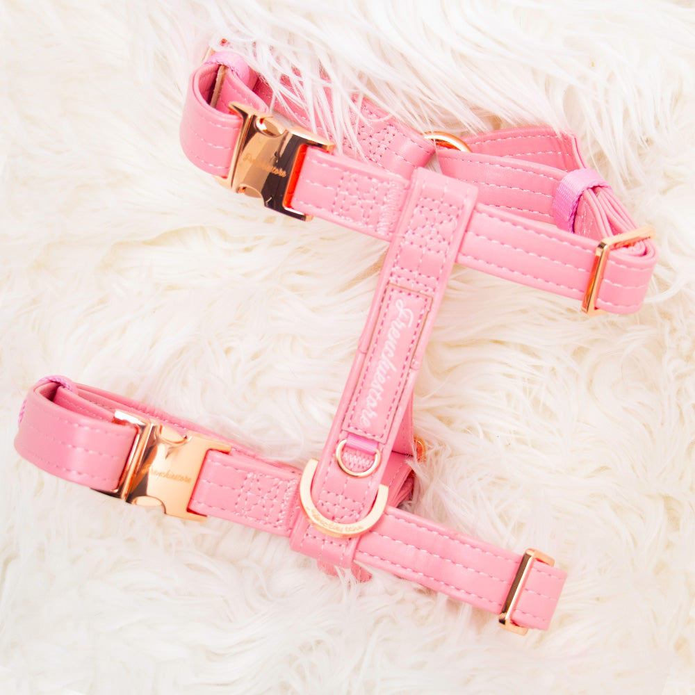 Adjustable Pet Health Strap Harness | Blushed, Frenchie Dog, French Bulldog pet products