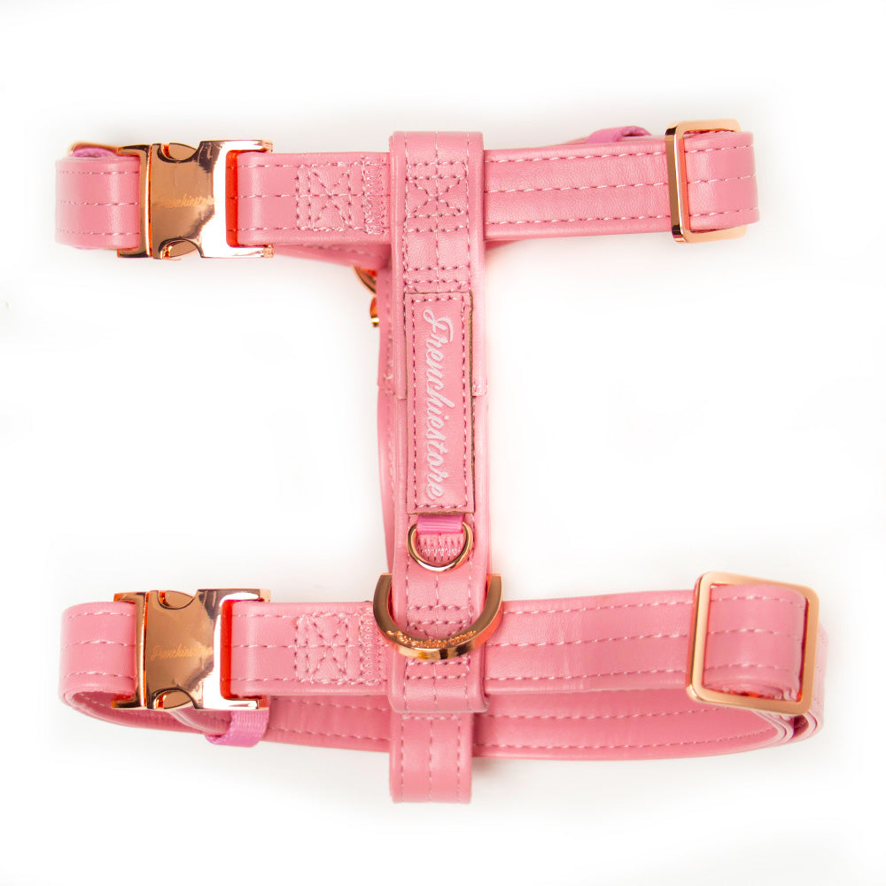 Adjustable Pet Health Strap Harness | Blushed, Frenchie Dog, French Bulldog pet products