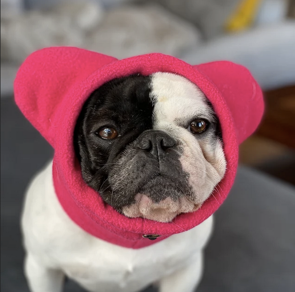 Frenchiestore Organic Dog Frenchie Ear Warmers | Hot Pink, Frenchie Dog, French Bulldog pet products