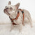 حزام حزام صحة الحيوانات الأليفة القابل للتعديل | Sprung ، Frenchie Dog ، منتجات الحيوانات الأليفة من البلدغ الفرنسي