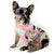 Pettorina reversibile per la salute del cane Frenchiestore | UniPup, Frenchie Dog, prodotti per animali domestici Bulldog francese