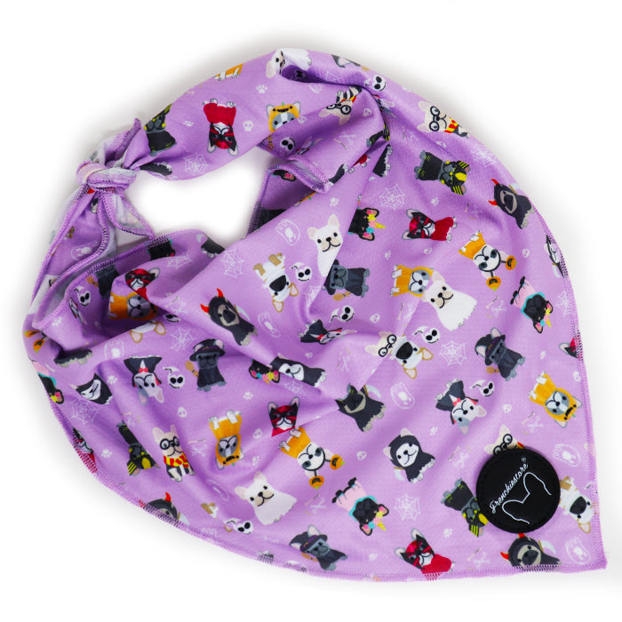 Frenchiestore الكلب تبريد باندانا | Frenchie Attire ، Frenchie Dog ، منتجات الحيوانات الأليفة الفرنسية من بلدغ