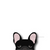 ملصق Frenchie | فرنشيستور | ملصق سيارة بولدوج فرنسي أسود ، Frenchie Dog ، منتجات الحيوانات الأليفة الفرنسية البلدغ