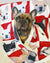 Frenchie Blanket | Frenchiestore | Французские бульдоги Wine O'clock, Frenchie Dog, Зоотовары для французских бульдогов