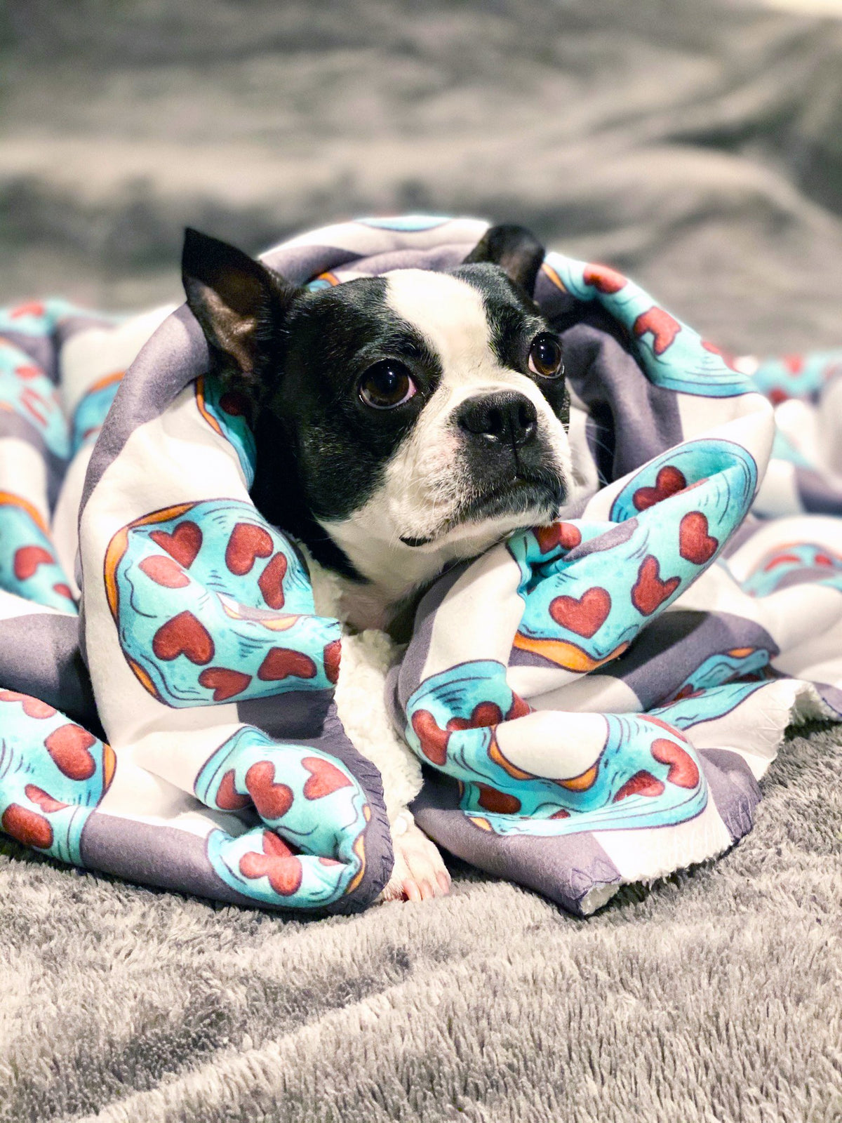 French bulldog fleece blanket best sale