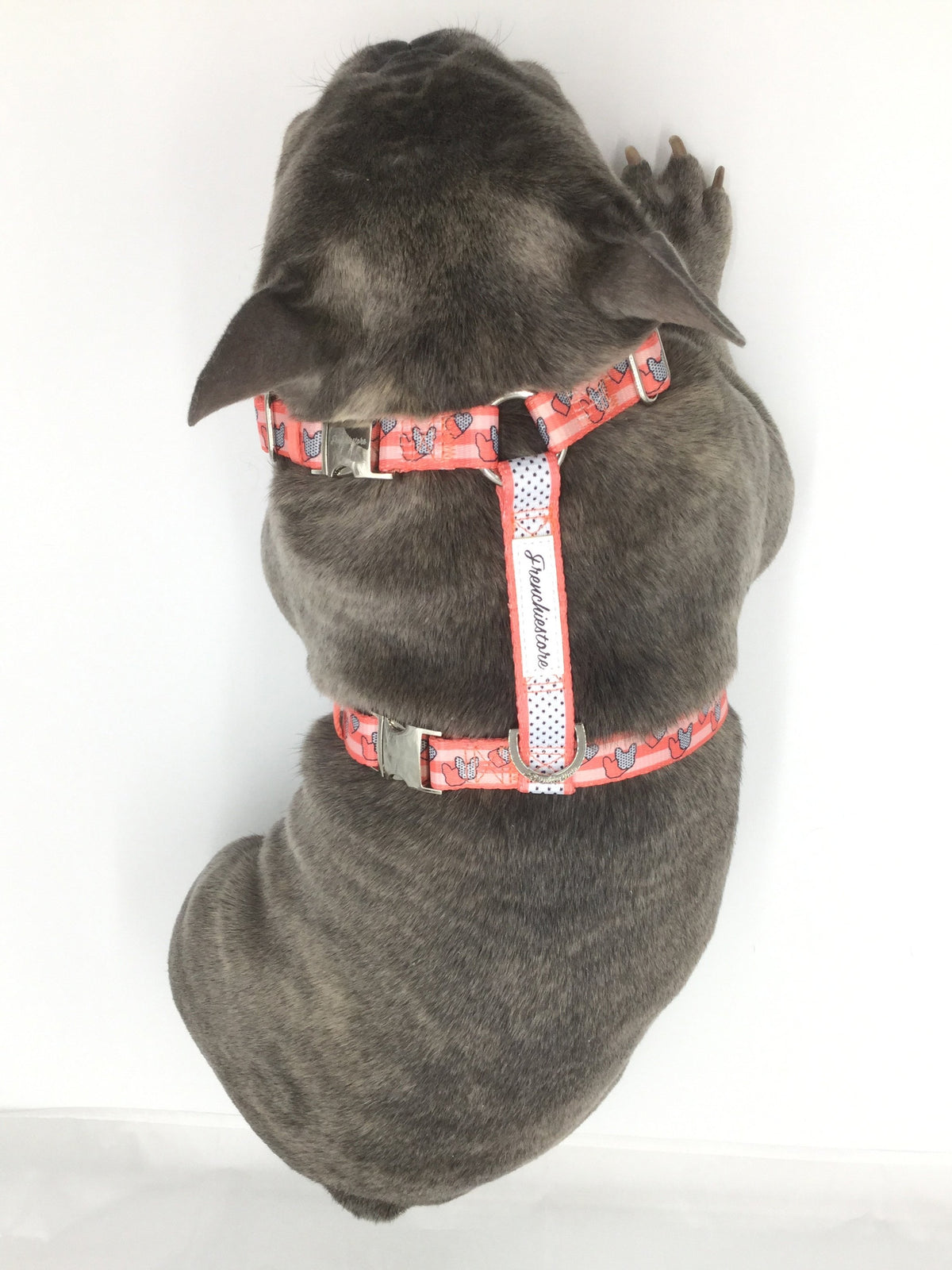 Frenchiestore Adjustable Pet Health Harness | Frenchie love in Pink, Frenchie Dog, French Bulldog pet products