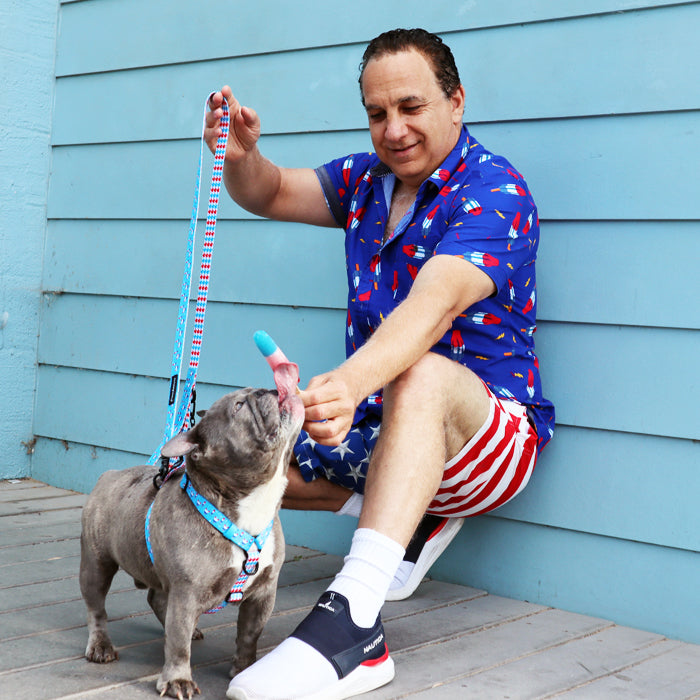 Frenchiestore Adjustable Pet Health Strap Harness | Bombastic, Frenchie Dog, French Bulldog pet products