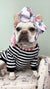 Frenchiestore Pet Head Bow | Aqua Flower, Frenchie Dog, Haustierprodukte der Französischen Bulldogge