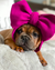 Lazo para la cabeza del animal doméstico Frenchiestore | Productos para mascotas de remolacha, perro francés, bulldog francés
