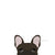ملصق Frenchie | فرنشيستور | ملصق سيارة Brown Brindle French Bulldog ، Frenchie Dog ، منتجات الحيوانات الأليفة من البلدغ الفرنسي