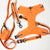 Веганский университетский набор «Оранжевая тыква» | Frenchiestore, Frenchie Dog, товары для домашних животных французского бульдога