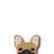 Pegatina Frenchie | Frenchiestore | Fawn W / Mask Calcomanía para coche de Bulldog francés, Perro Frenchie, Productos para mascotas de Bulldog francés