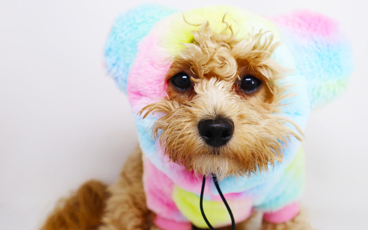 Care bear store hoodie with ears