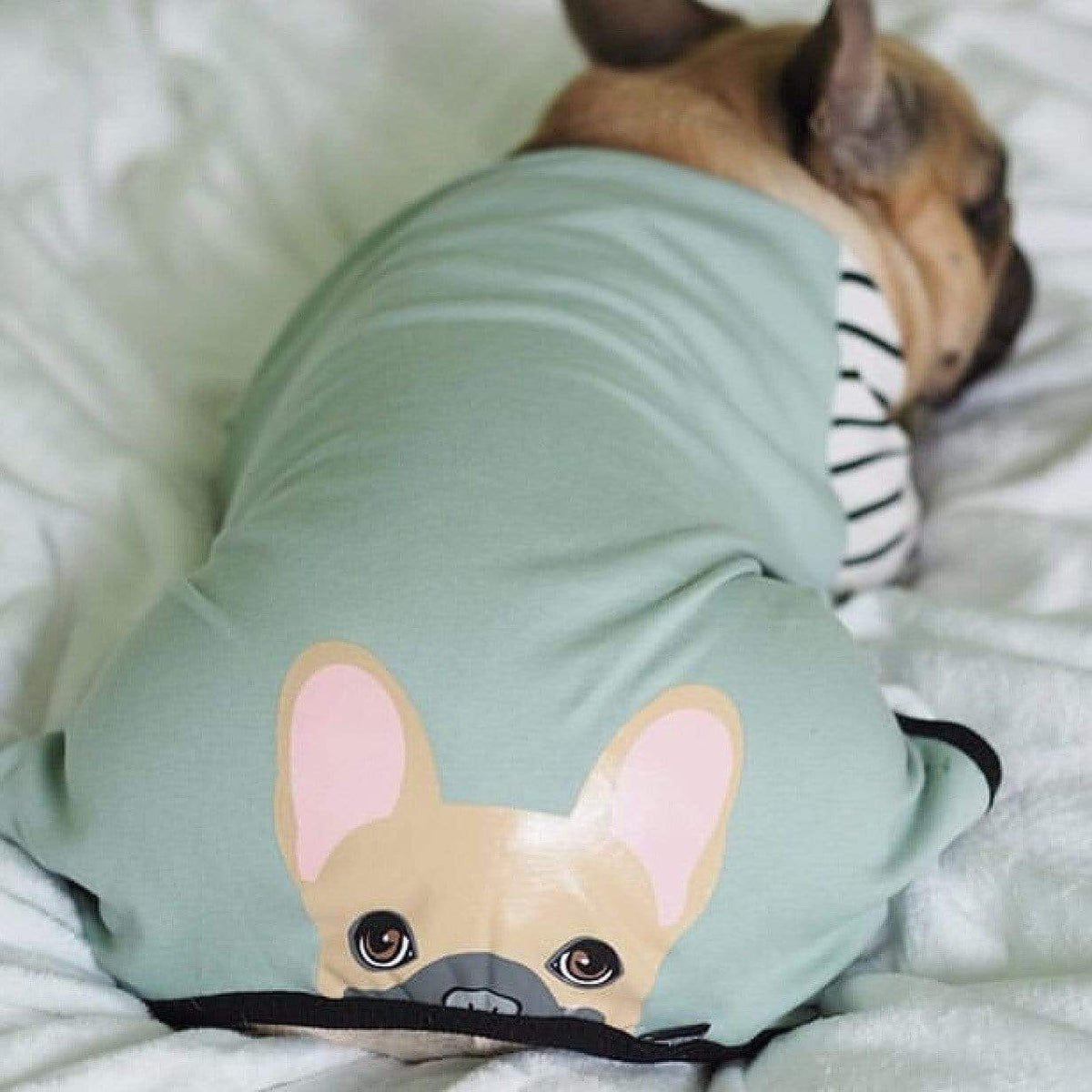 French Bulldog Pajamas, Frenchie Clothing