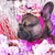 كلب Frenchiestore ربطة عنق | Pink Starpup ، Frenchie Dog ، منتجات الحيوانات الأليفة الفرنسية من بلدغ