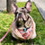 Frenchiestore豪華狗皮帶| 粉紅色的法式愛，法式狗，法國鬥牛犬寵物用品
