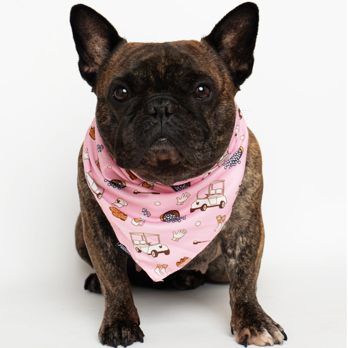 Frenchiestore Cooling Bandana für Hunde | Golf, Frenchie Dog, French Bulldog Haustierprodukte