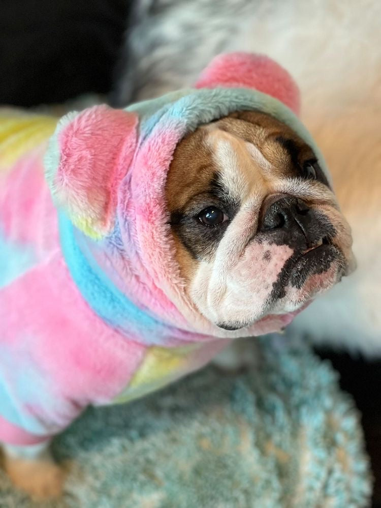 Frenchiestore Organic Dog Frenchie Ear Hoodie | Care Bear, Frenchie Dog, French Bulldog pet products