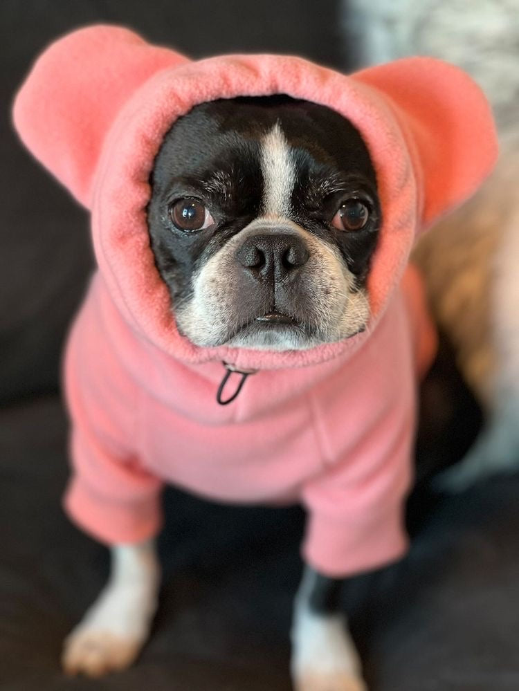 Frenchiestore Organic Dog Frenchie Ear hoodie | Little Piggy, Frenchie Dog, French Bulldog pet products