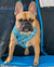 Arnés de salud para perros reversible Frenchiestore | Este Frenchie ama a mamá / papá en verde azulado y gris, Frenchie Dog, productos para mascotas French Bulldog