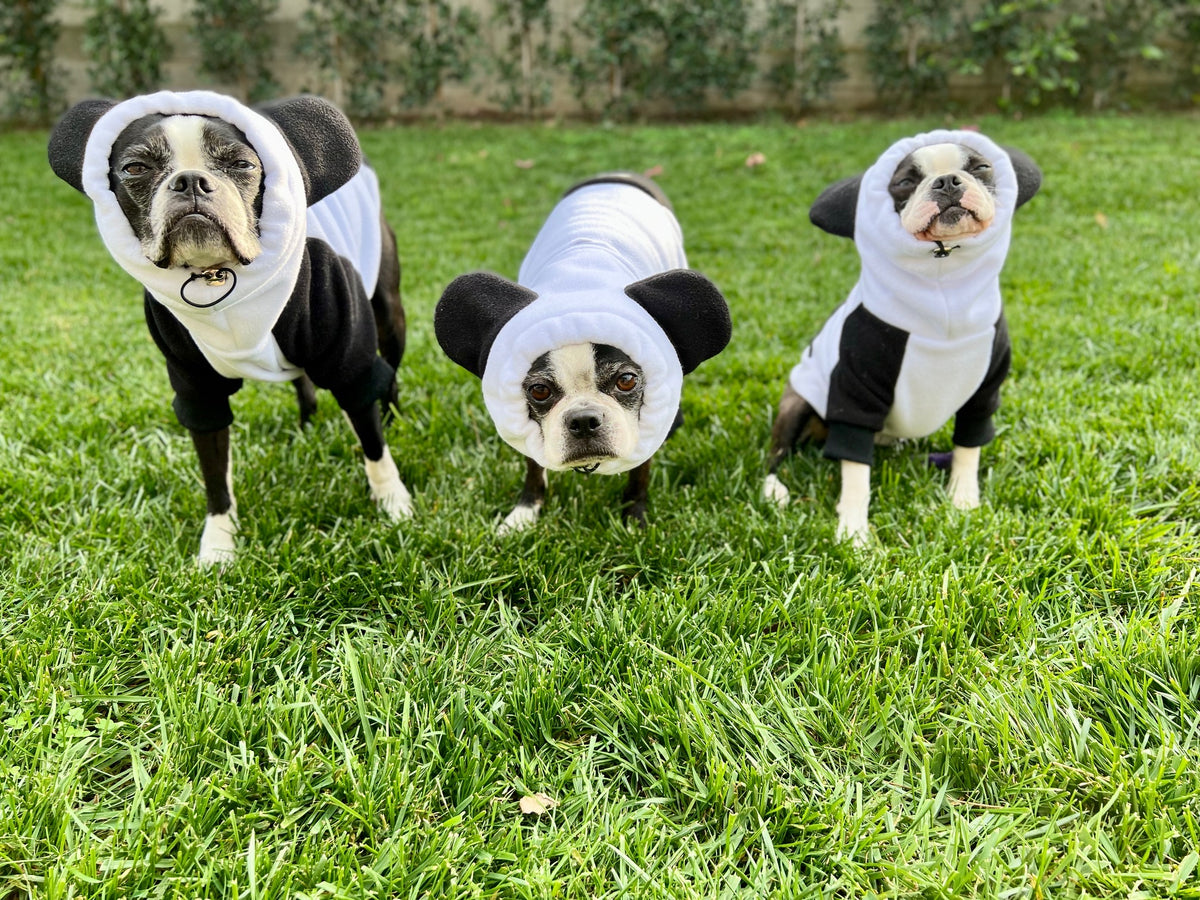 Frenchiestore Organic Dog Frenchie Ear hoodie | Panda Bear, Frenchie Dog, French Bulldog pet products