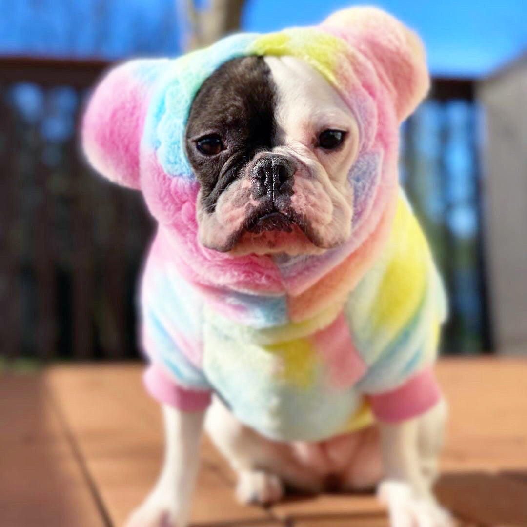 Frenchiestore Organic Dog Frenchie Ear Hoodie | Care Bear, Frenchie Dog, French Bulldog pet products