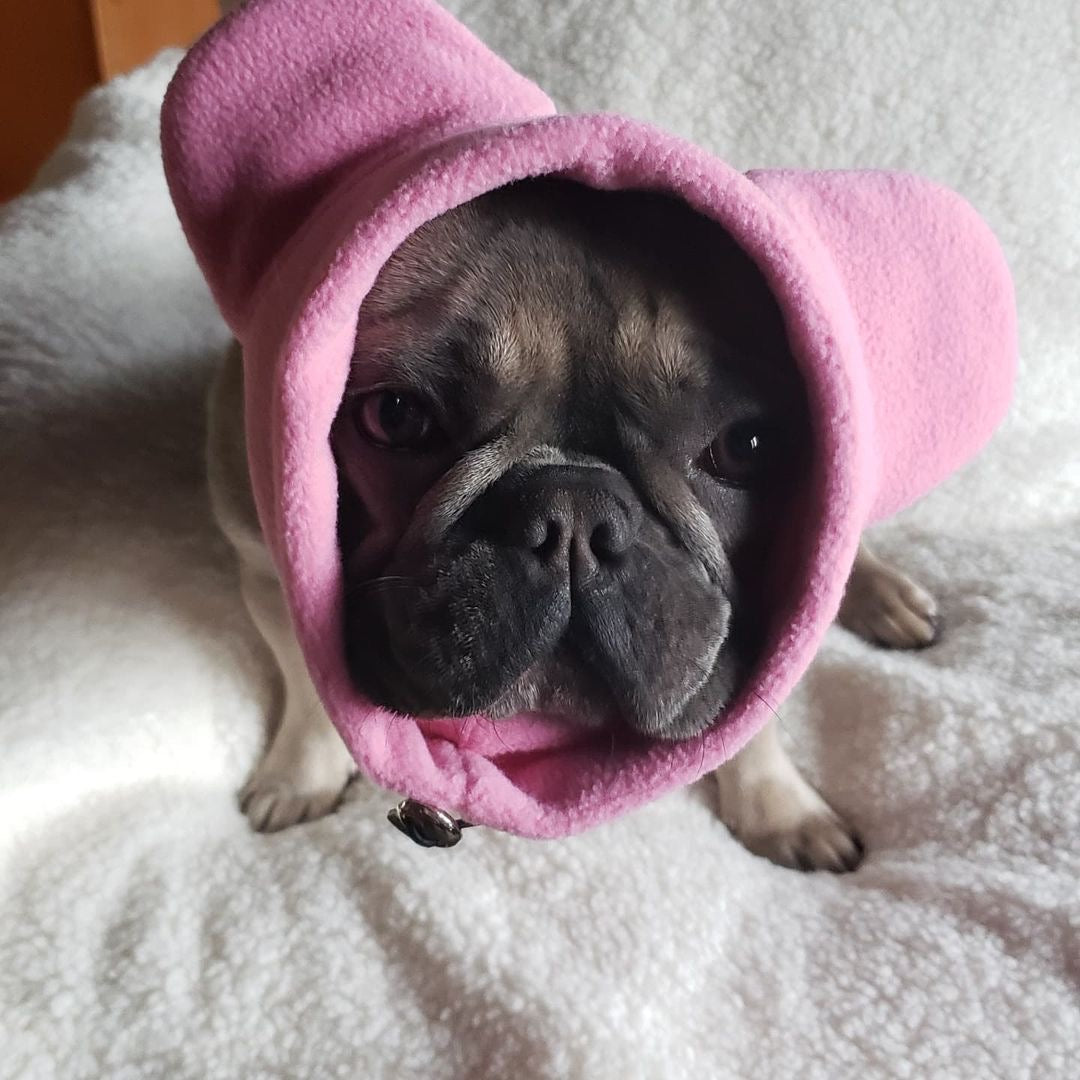 Frenchiestore Organic Dog Frenchie Ear Warmers | Pink, Frenchie Dog, French Bulldog pet products