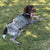 Arnés de salud ajustable para mascotas Frenchiestore | Frenchie love in Teal, Frenchie Dog, French Bulldog productos para mascotas