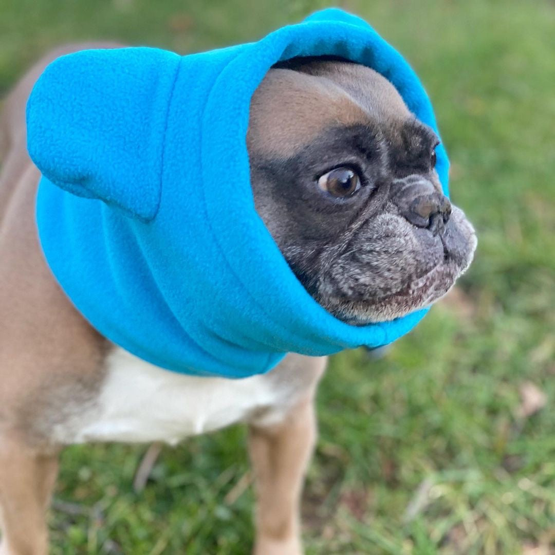 Frenchiestore Organic Dog Frenchie Ear Warmers | Blue, Frenchie Dog, French Bulldog pet products