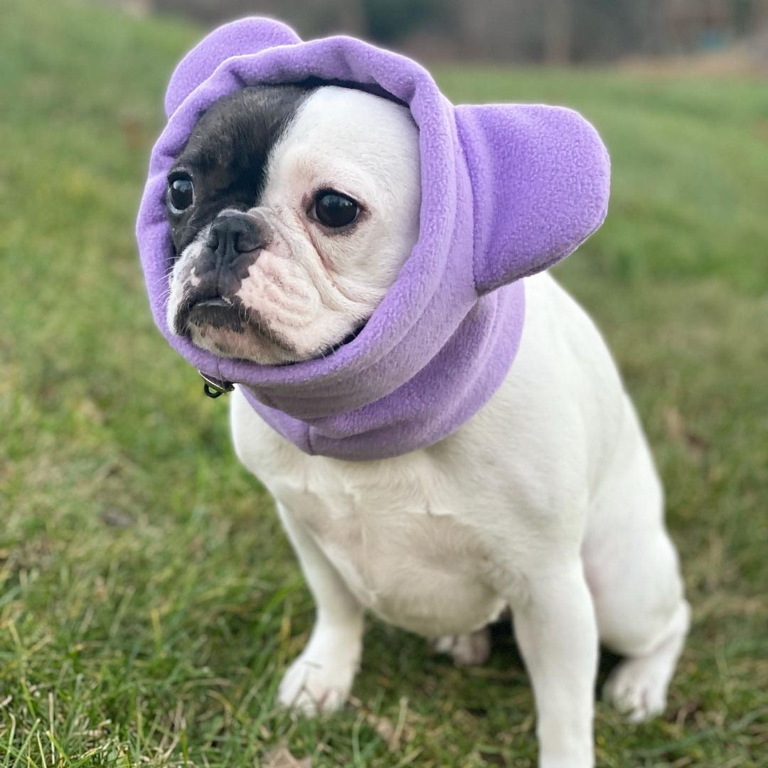 Ear Warmers Bundle Girls | Frenchiestore, Frenchie Dog, French Bulldog pet products