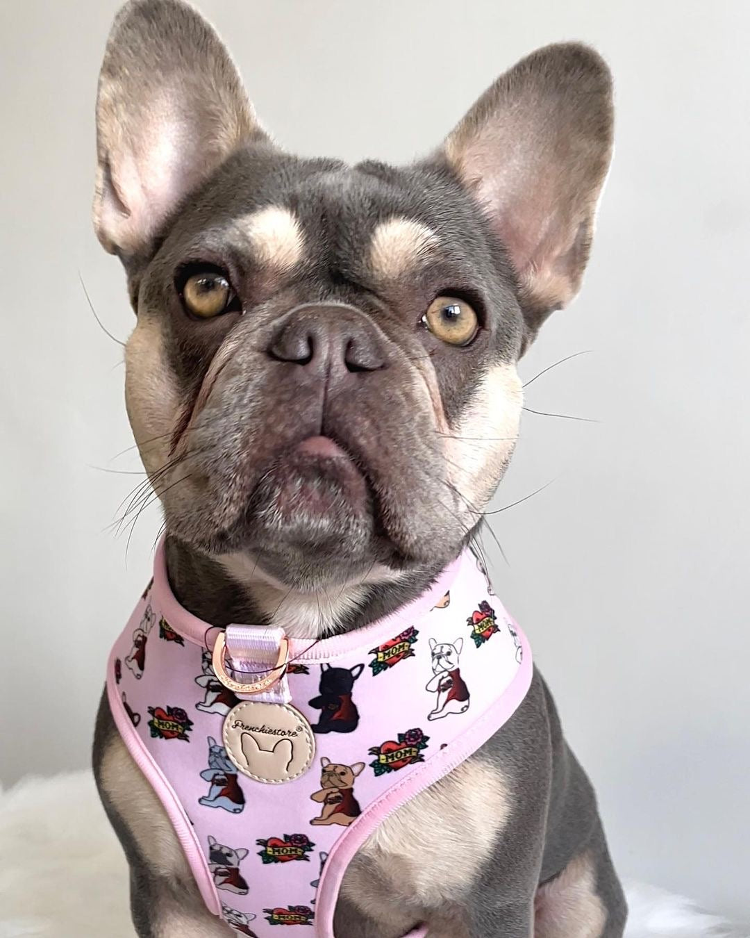 Frenchiestore Reversible Dog Health Harness | This Frenchie loves Mom/Dad in pink and tan, Frenchie Dog, French Bulldog pet products