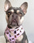 Imbracatura per la salute del cane reversibile Frenchiestore | Questo Frenchie adora mamma/papà in rosa e marrone chiaro, Frenchie Dog, prodotti per animali Bulldog francese