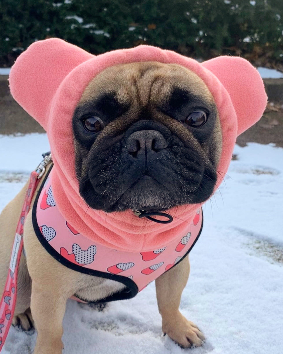 Frenchiestore Organic Dog Frenchie Ear Warmers | Coral, Frenchie Dog, French Bulldog pet products