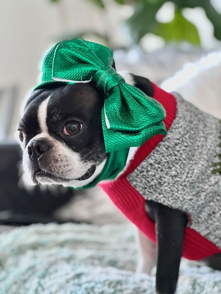 Frenchiestore Pet Head Bow | Metalic Green, Frenchie Dog, French Bulldog pet products