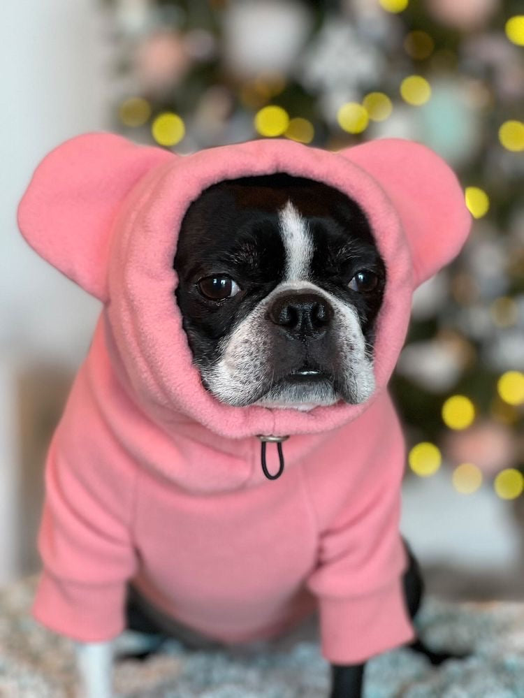 Frenchiestore Organic Dog Frenchie Ear hoodie | Little Piggy, Frenchie Dog, French Bulldog pet products