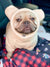 Felpa con cappuccio Frenchie Ear Organic Dog Frenchiestore | Orso polare, cane Frenchie, prodotti per animali domestici Bulldog francese