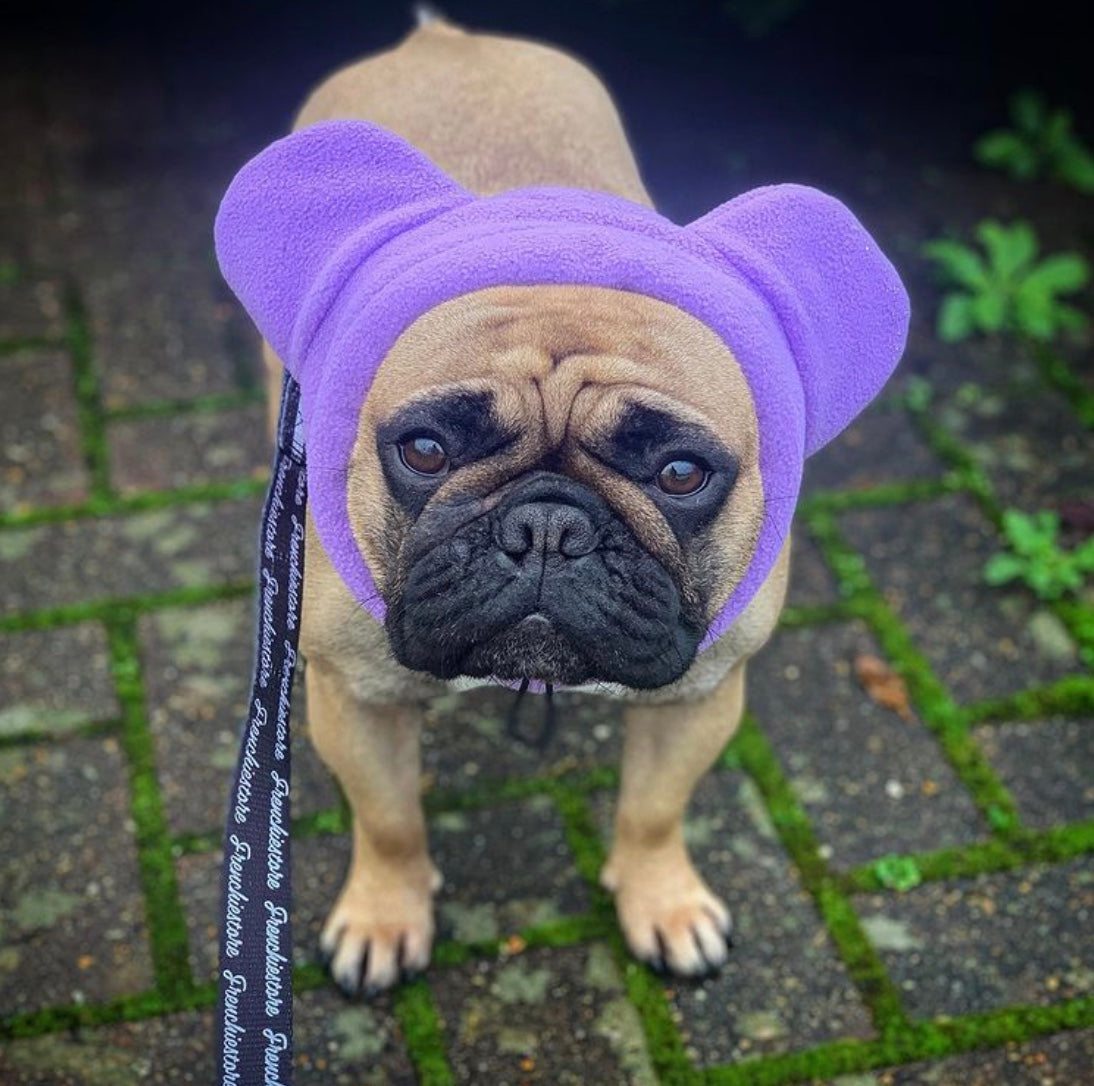 Frenchiestore Organic Dog Frenchie Ear Warmers | Purple, Frenchie Dog, French Bulldog pet products
