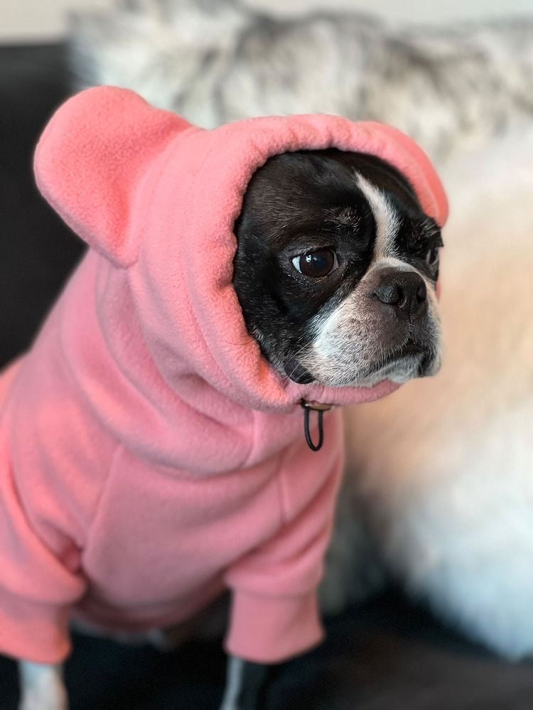 Frenchiestore Organic Dog Frenchie Ear hoodie | Little Piggy, Frenchie Dog, French Bulldog pet products