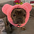 Frenchiestore Organic Dog Frenchie Ear Warmers | Coral, Frenchie Dog, French Bulldog pet products