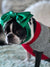 Frenchiestore Pet Head Bow | Metallic Green, Frenchie Dog, prodotti per animali Bulldog francese