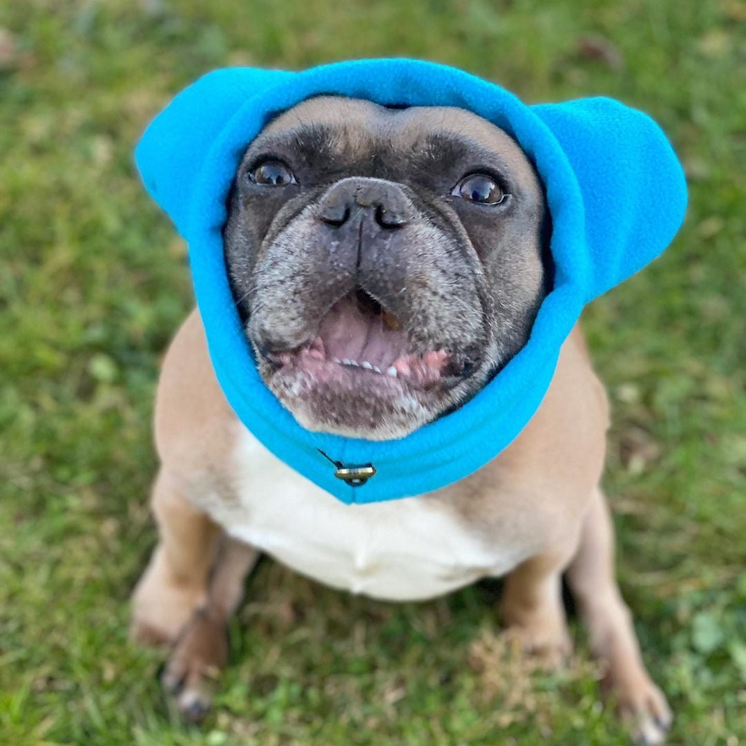 Frenchiestore Organic Dog Frenchie Ear Warmers | Blue, Frenchie Dog, French Bulldog pet products
