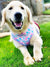 Pettorina reversibile per la salute del cane Frenchiestore | Mermazing, Frenchie Dog, prodotti per animali domestici Bulldog francese