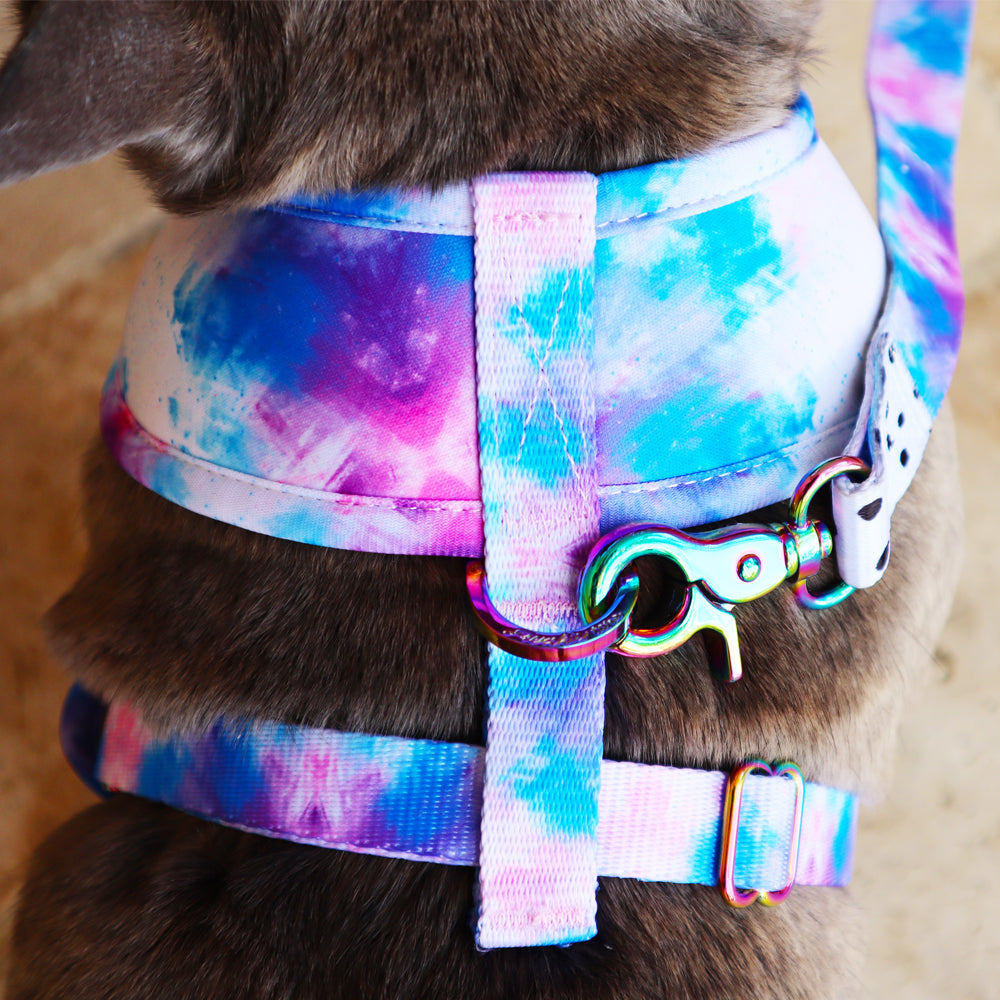 Puppy Collar Leash Harness Set, Lv Dog Harness Leash