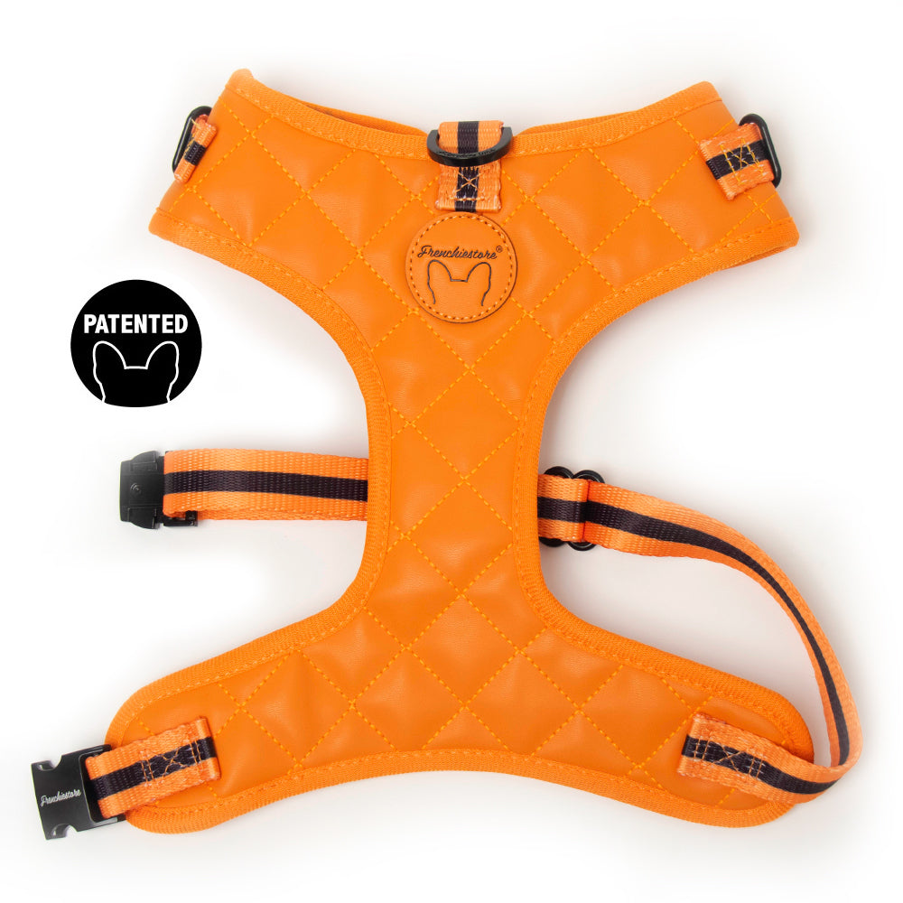 Frenchiestore Neck Adjustable Vegan Leather Health Harness | Orange Pumpkin Varsity, Frenchie Dog, French Bulldog pet products